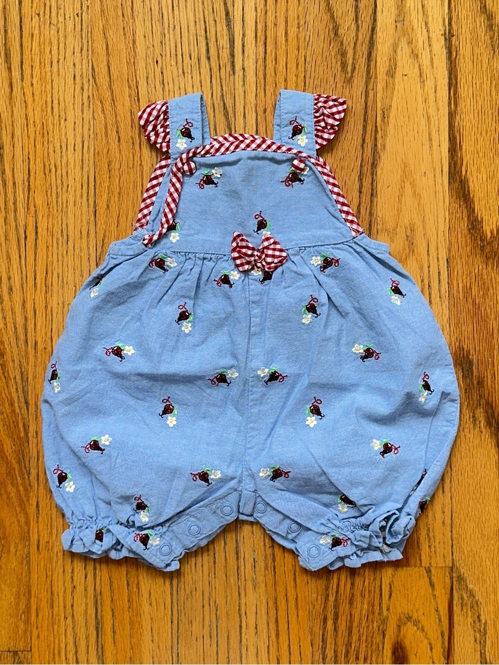 Starting Out Blue Overalls with Ladybugs